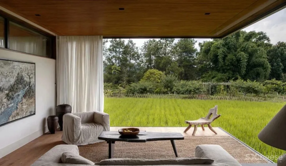 欢聚或独处,都被温柔包裹着| 军哥和芳姐自宅