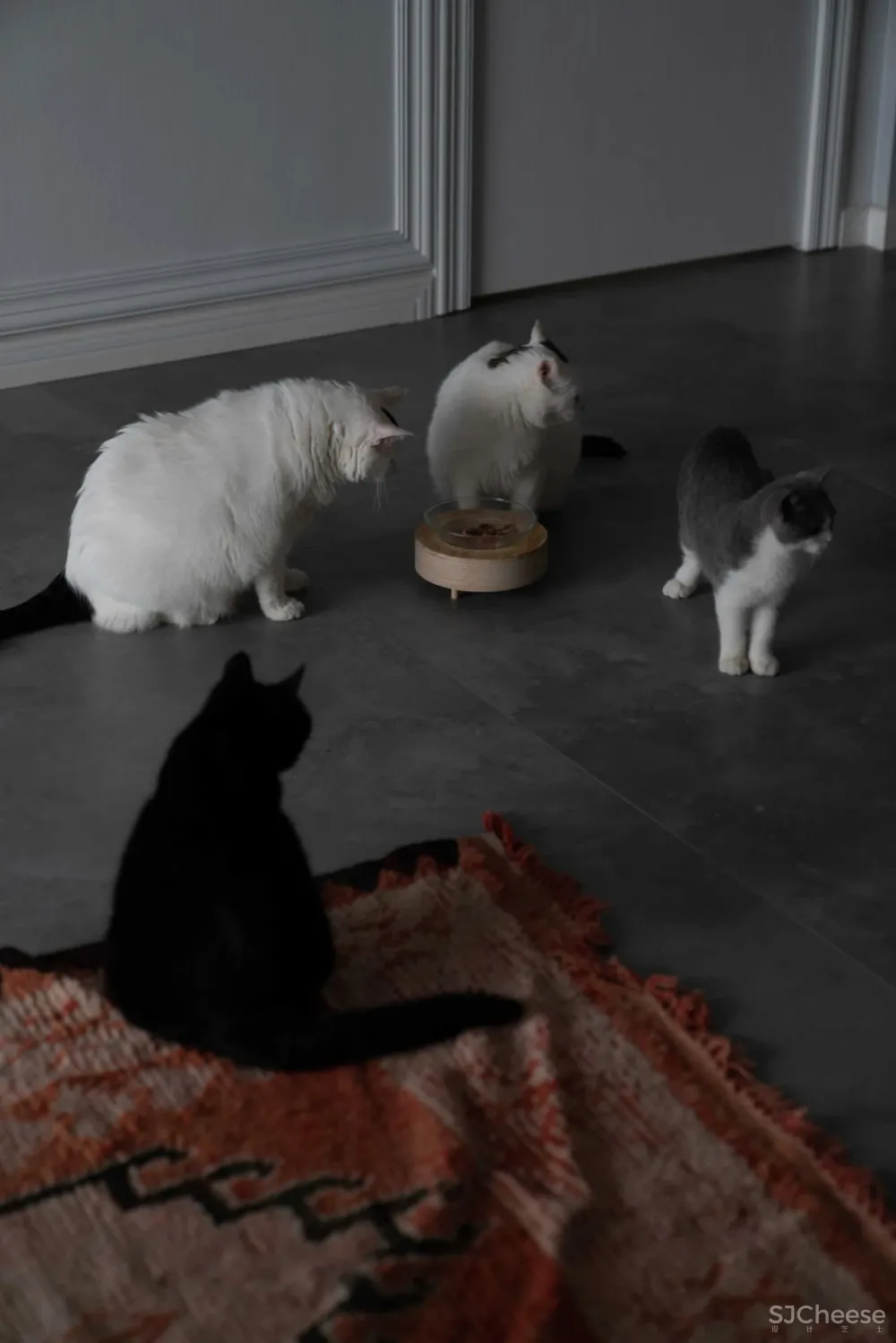 2人居的217㎡复古大宅,其中200㎡给7只猫住?