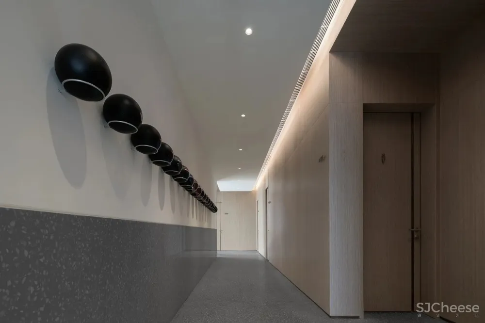 共生形态 星辰与蜉蝣