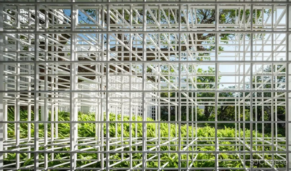 AAd Architecture丨光影之屋，Shade House