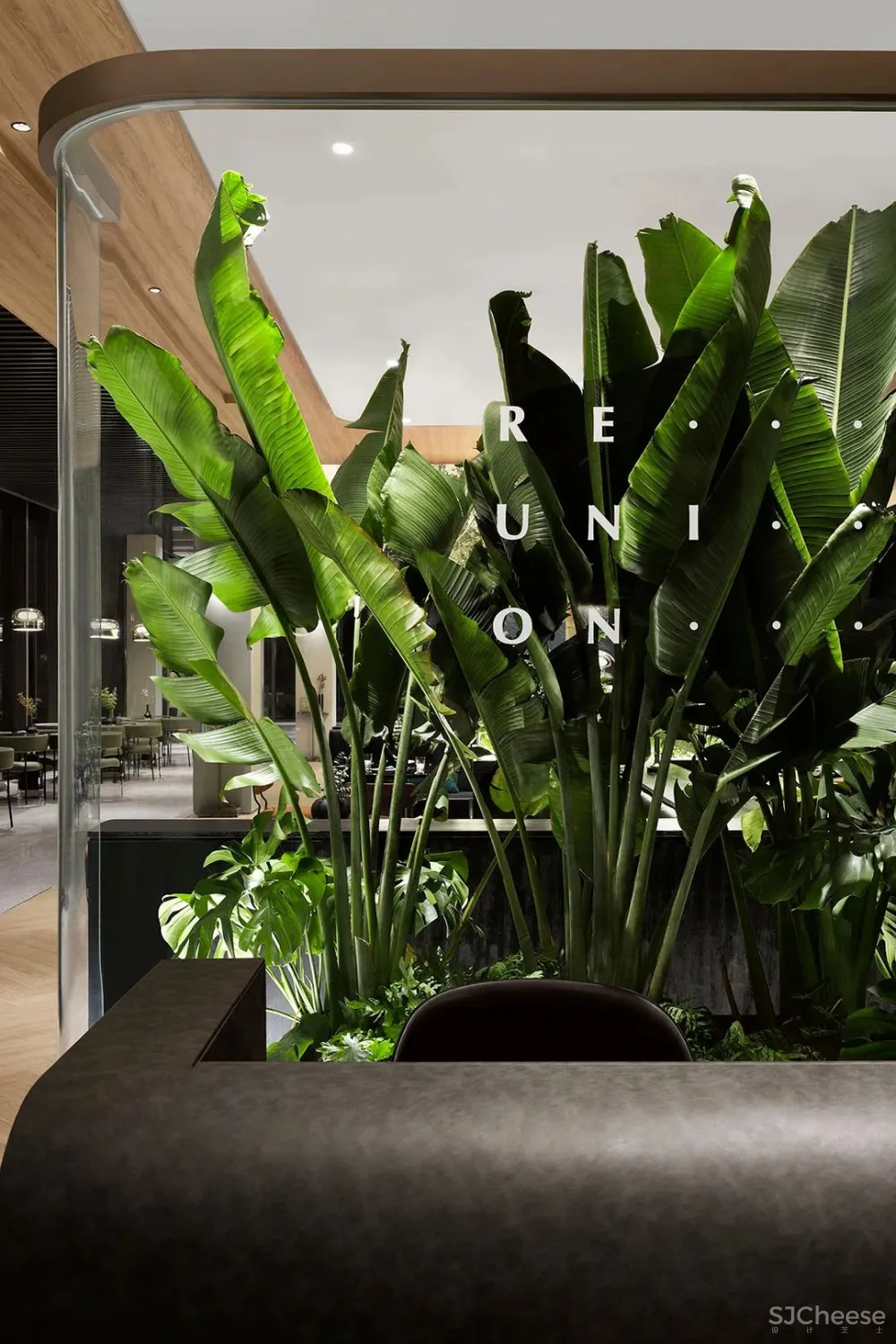 峻佳 杭州万科开了家超仙的雨林餐厅，成新晋网红地 ！