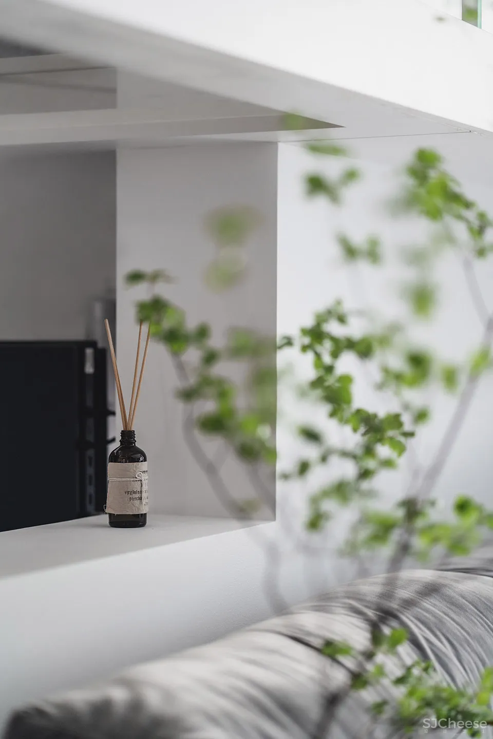 132㎡简洁设计，9猫、2狗、2人，这样的家太爱了！