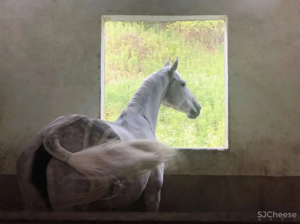 张雷新作 南京深坑酒店—矿坑石料雕琢的美学空间,是酒店也是美术馆