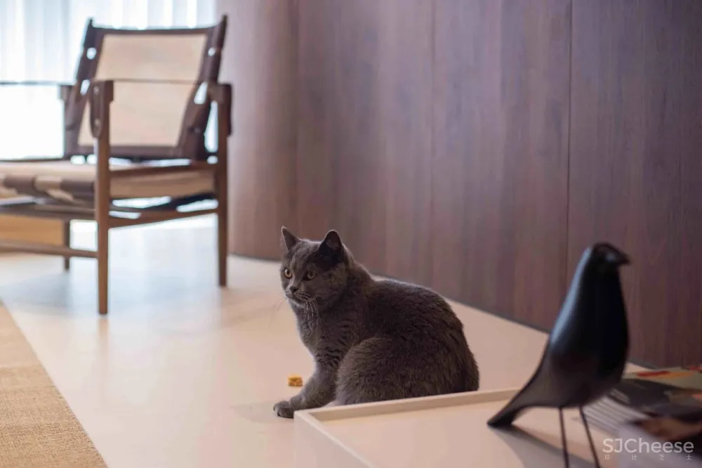 自然原木质感,品味现代简约的自然禅意 云行设计