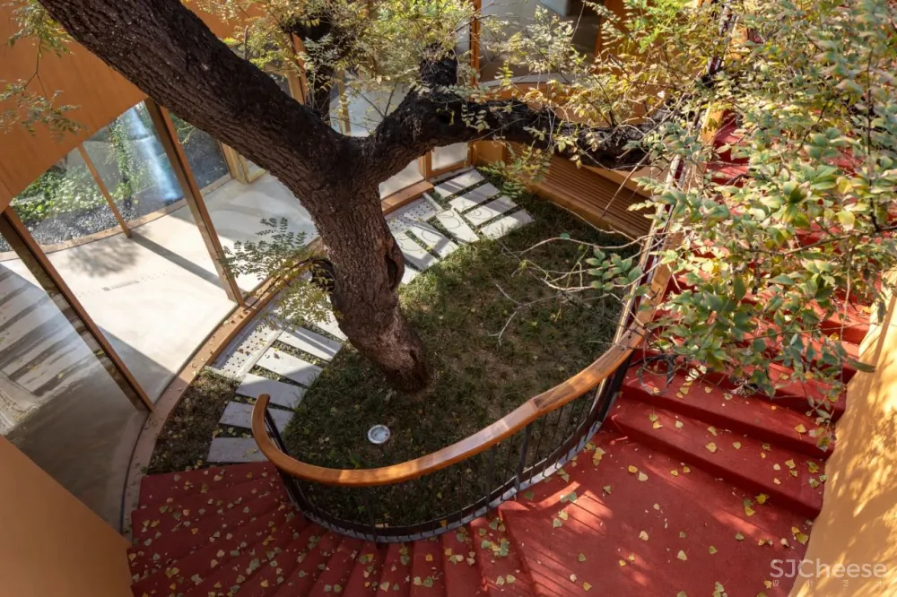 MAD新作 四合院与幼儿园的神奇碰撞——将老北京“捧在手心”