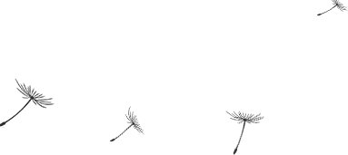 SUMAY树美 在浮躁的都市生活,寻一方心灵归依之处