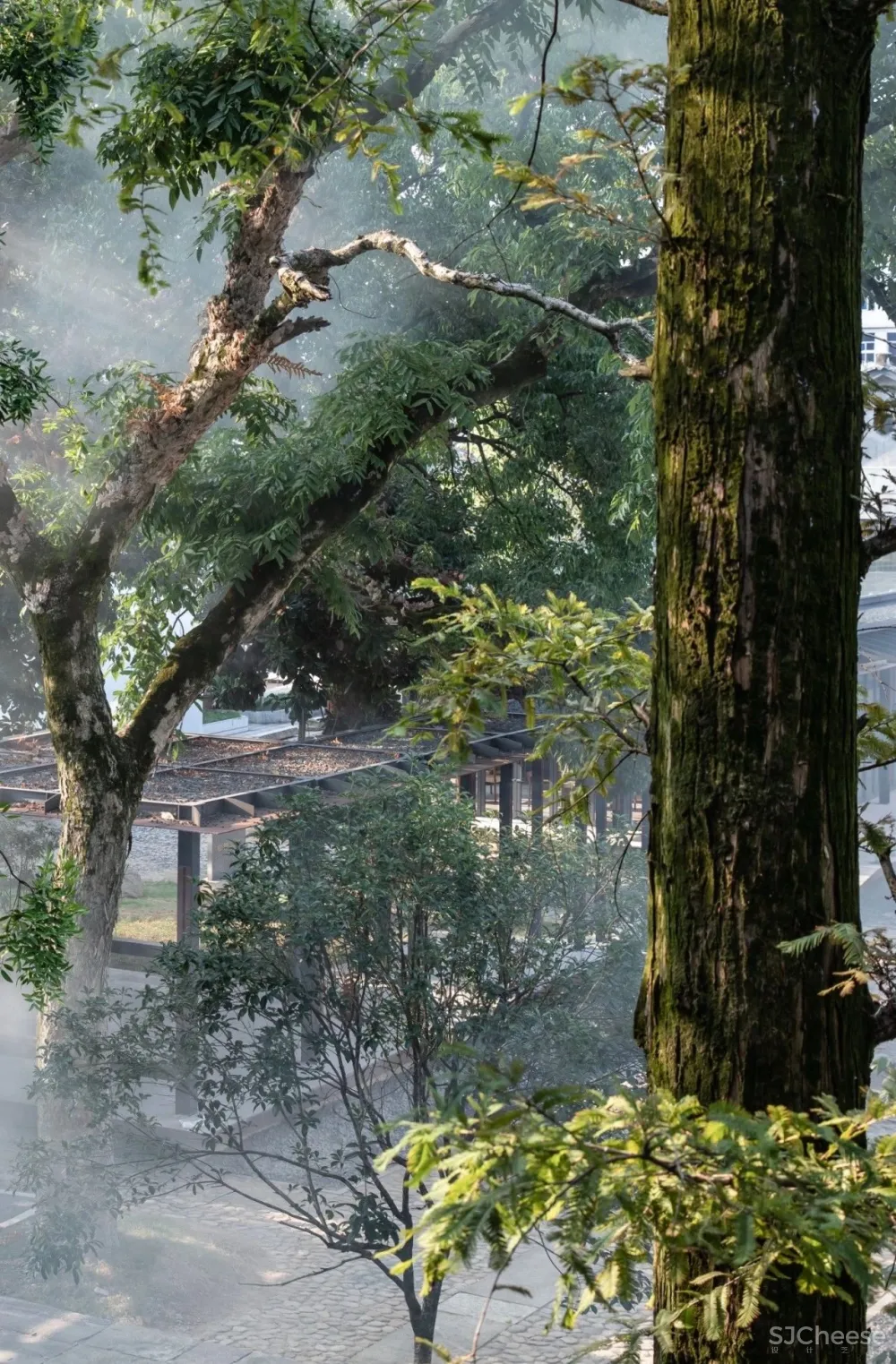 刘家琨 X 张灿 来自诗意的平行世界：境之所至，心之所向！