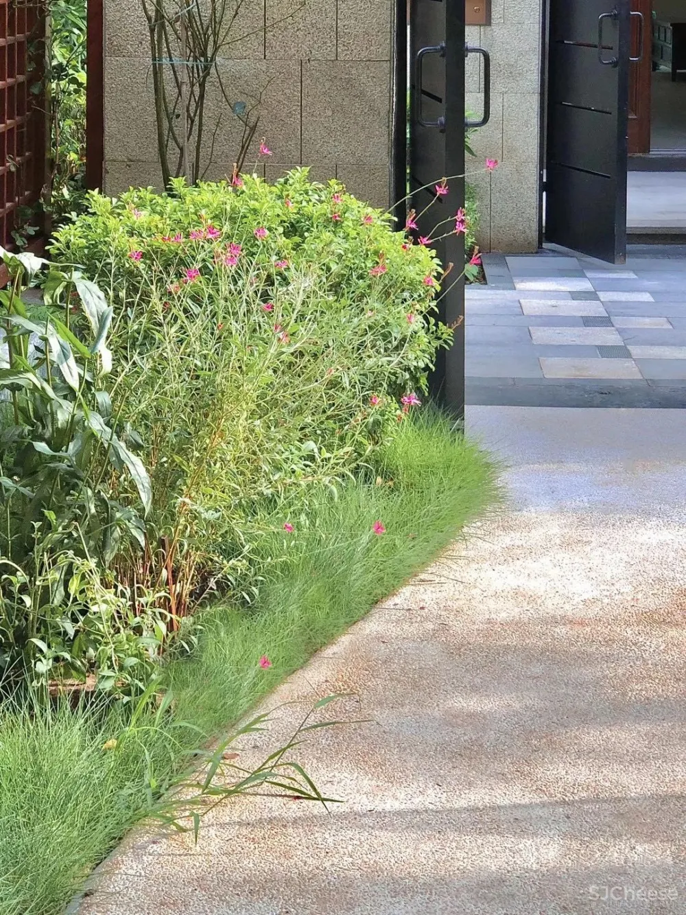 舞蹈家的300㎡新中式大宅,人与空间共同成长