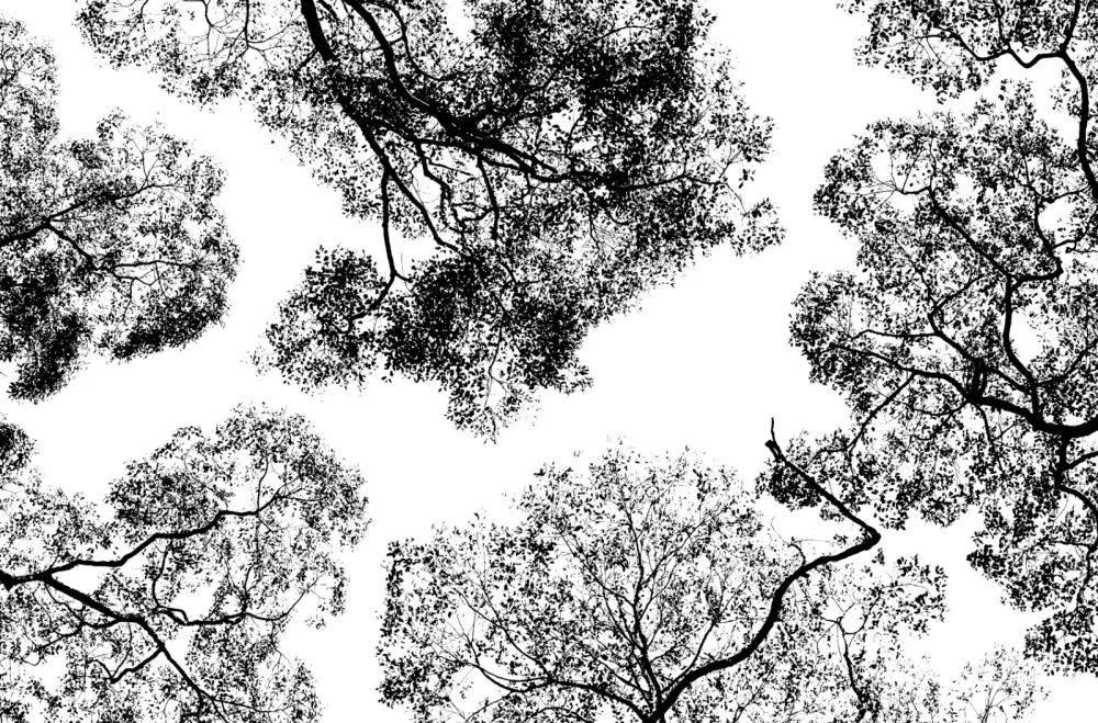  每朵云都镶着一条银边 ─ 融创.吉雅达售楼处