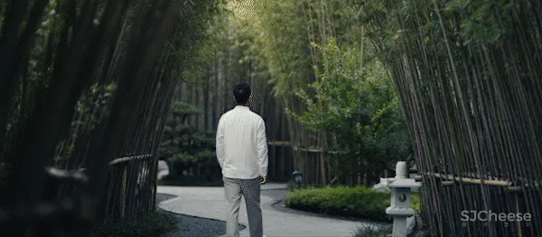 都说院子还是中国的美,这个项目再次示范中式院落如何复刻