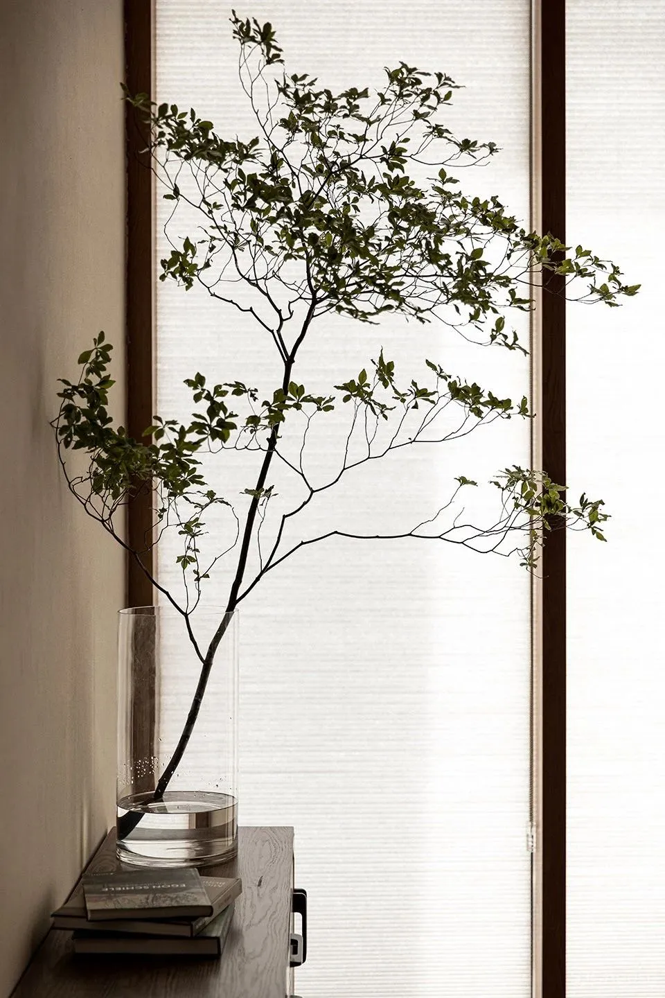 慢方舍 在山野中,回应生活的初心 慢珊瑚设计新作