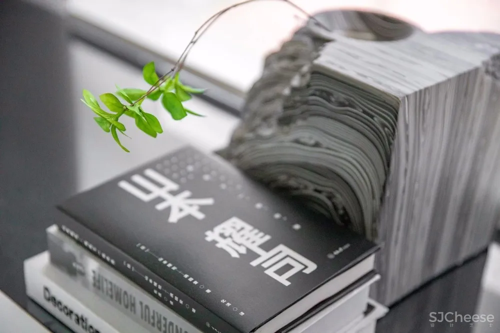 一个高品质的多功能美学空间