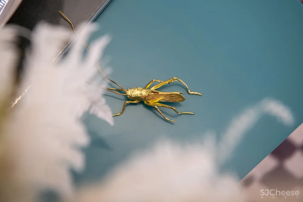 阅界设计| 腔调之下,藏着年轻人向往的生活