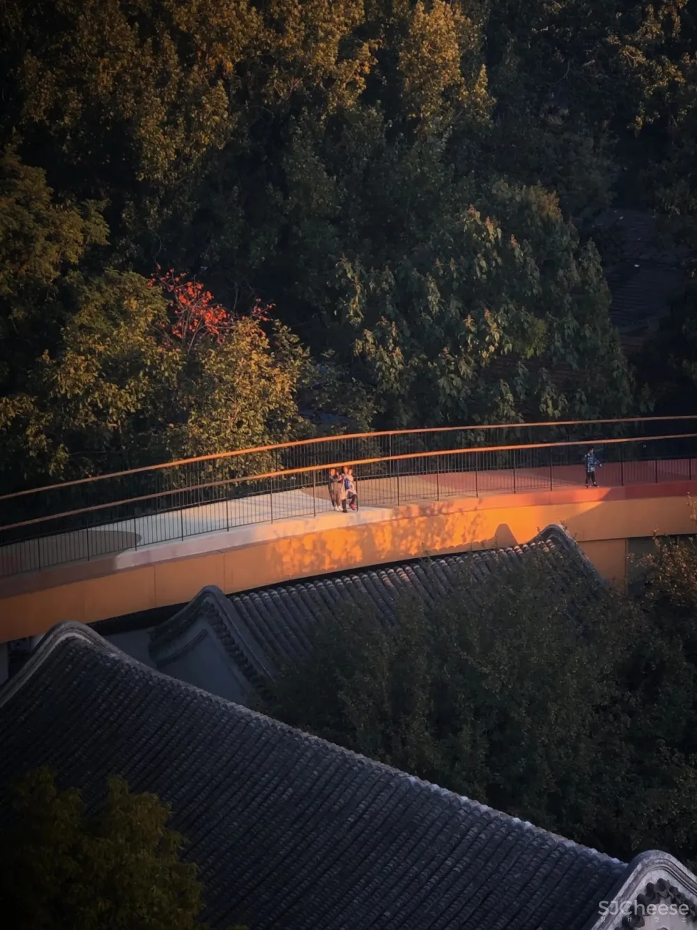MAD新作 四合院与幼儿园的神奇碰撞——将老北京“捧在手心”