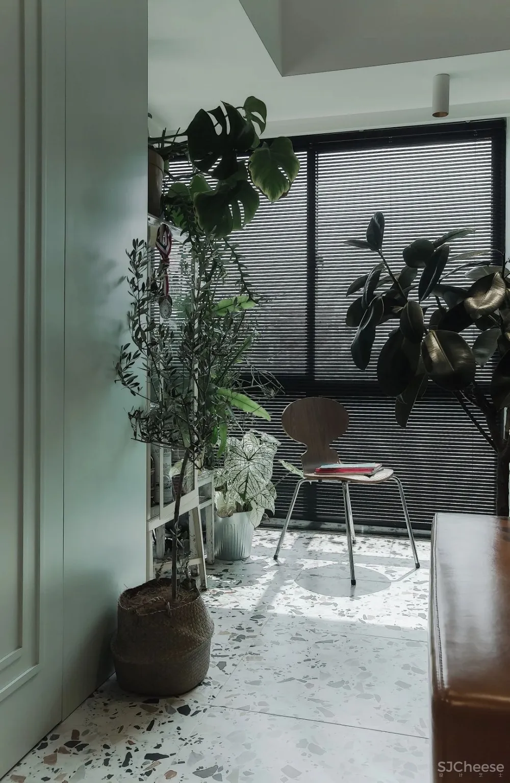 80后丁克夫妻的100㎡两室，颜值美炸！花砖、绿植，住-租一体，还有两狗子……