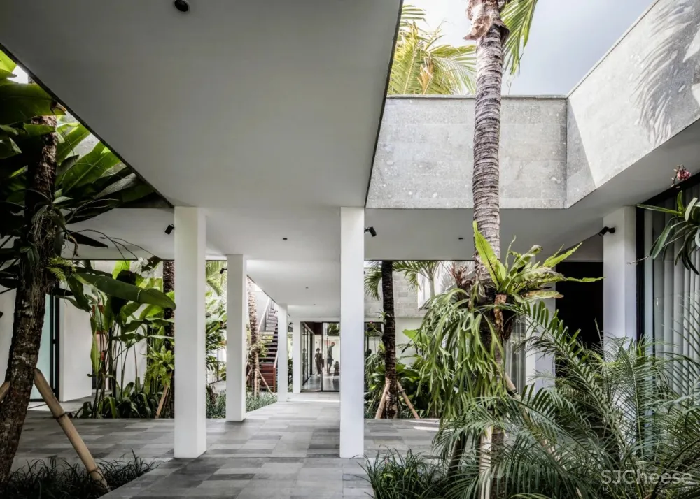 Alexis Dornier 隐匿于绿植之中 Flora住宅