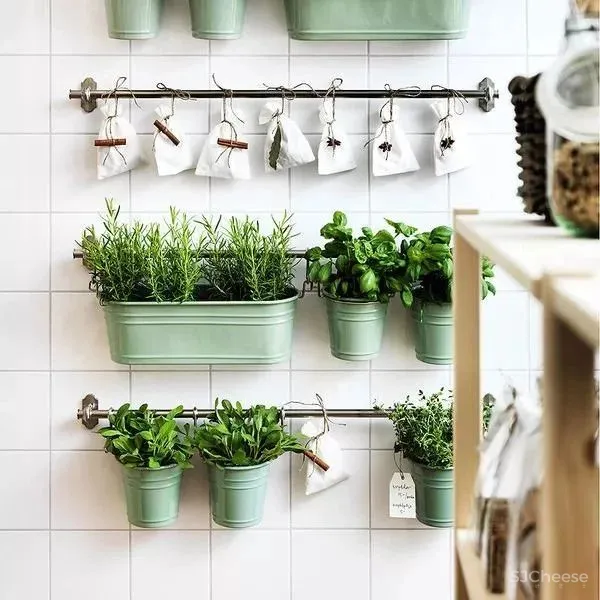 冷硬做底,温暖辅助,木条绿植一相逢,便胜却人间无数