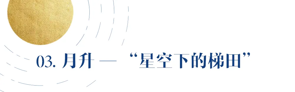 640㎡星空下的温柔梦境，颠覆传统的艺术设计！
