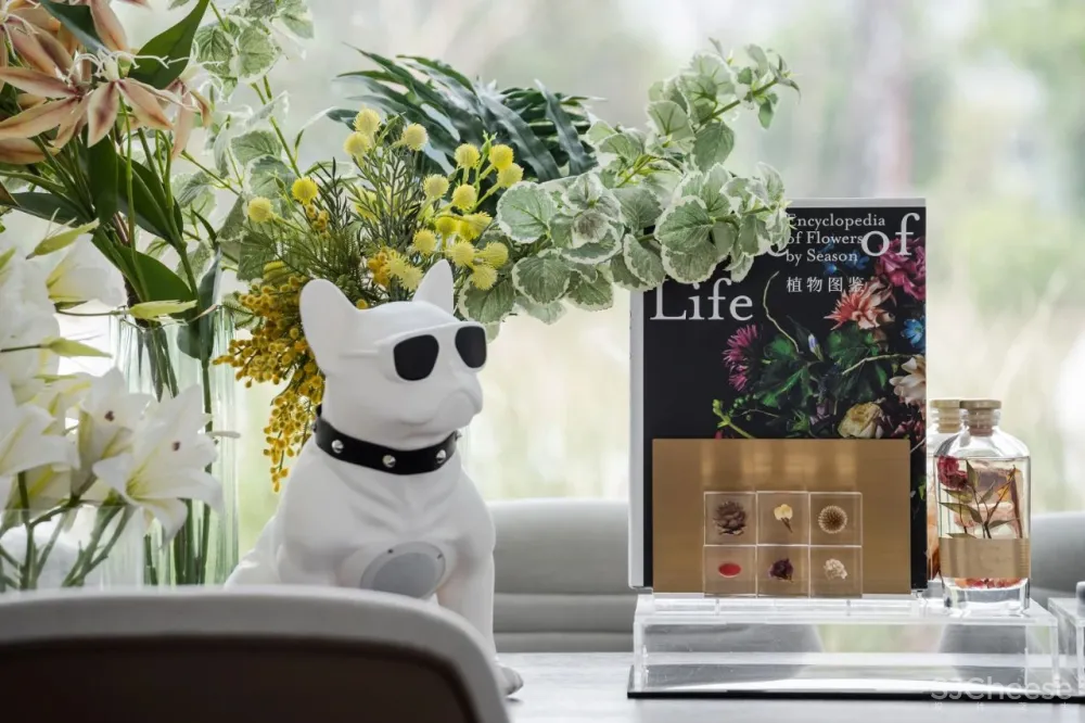 纯白幸福集合馆, “未来生活”如此惊艳!