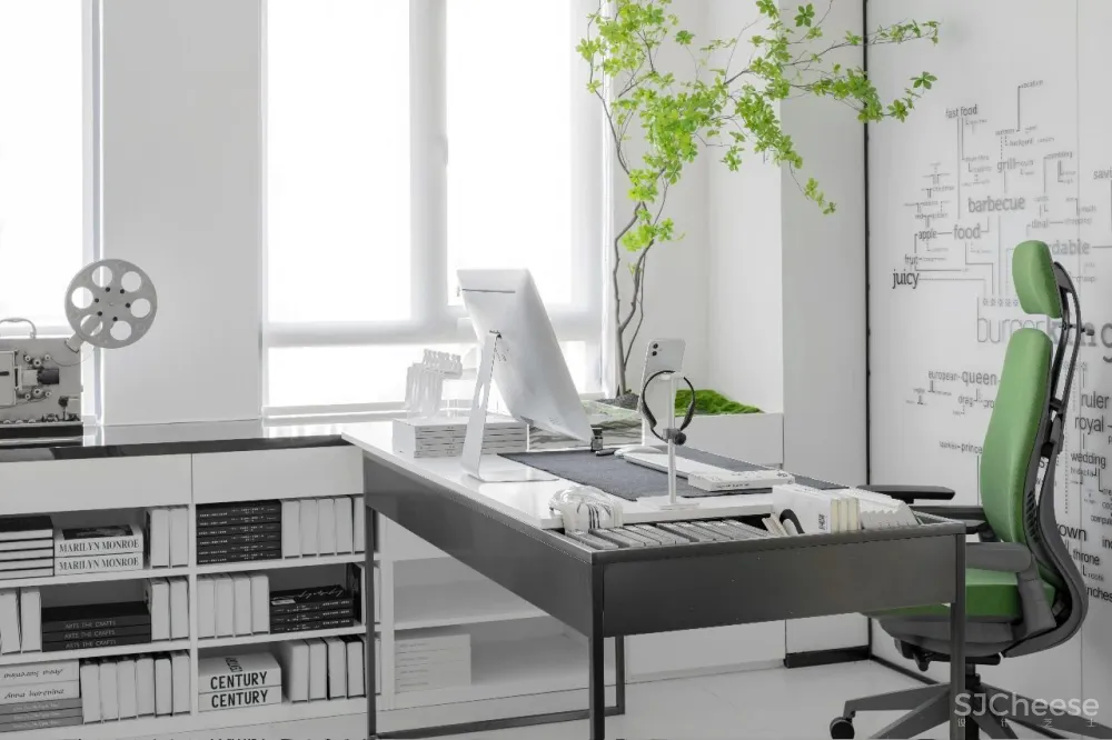 一个高品质的多功能美学空间