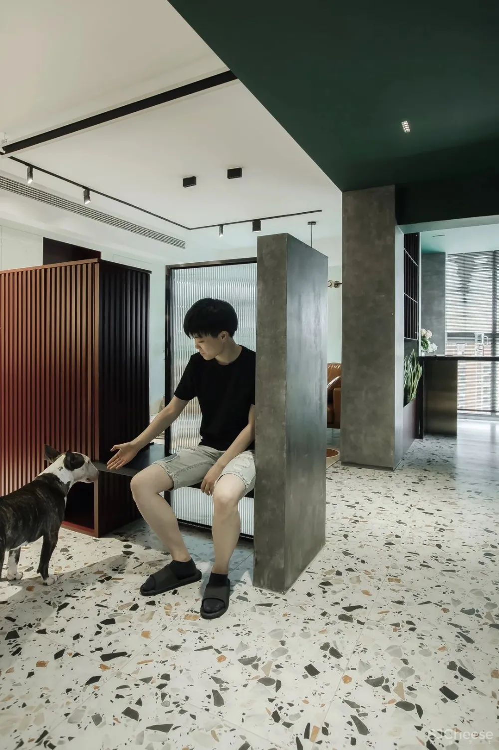 80后丁克夫妻的100㎡两室，颜值美炸！花砖、绿植，住-租一体，还有两狗子……