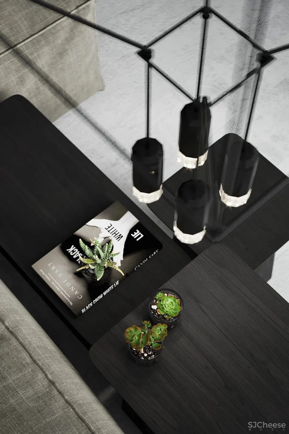 黑白色系的客厅，气质凸显 !