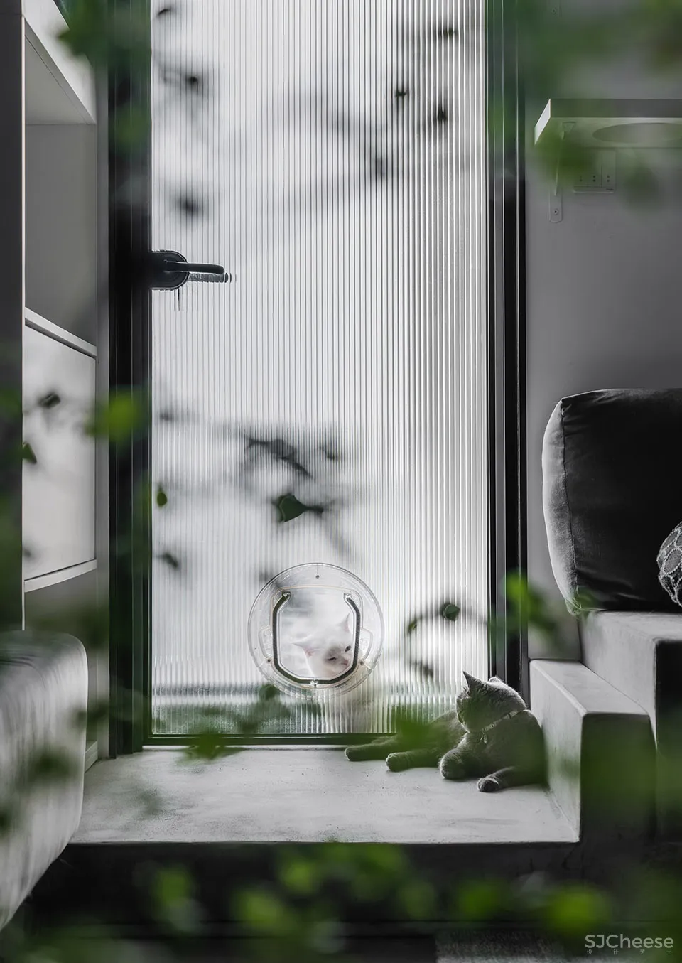 132㎡简洁设计，9猫、2狗、2人，这样的家太爱了！