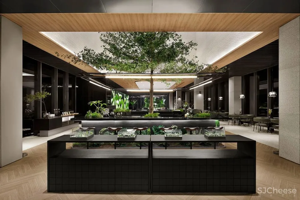 峻佳 杭州万科开了家超仙的雨林餐厅，成新晋网红地 ！