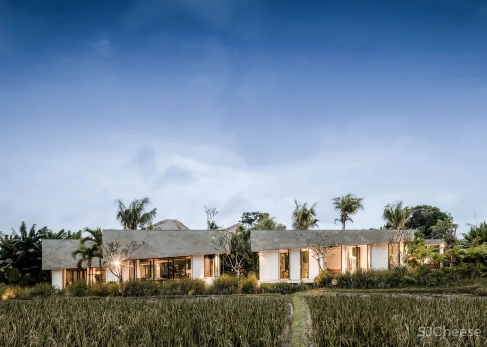 Alexis Dornier 隐匿于绿植之中 Flora住宅