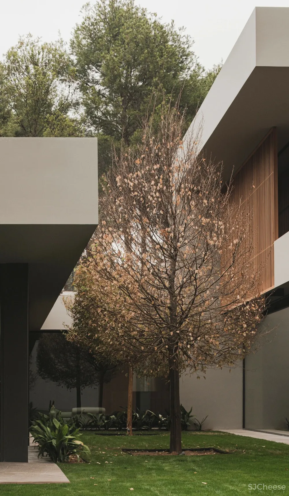 秋日花园别墅 Francesc Rifé