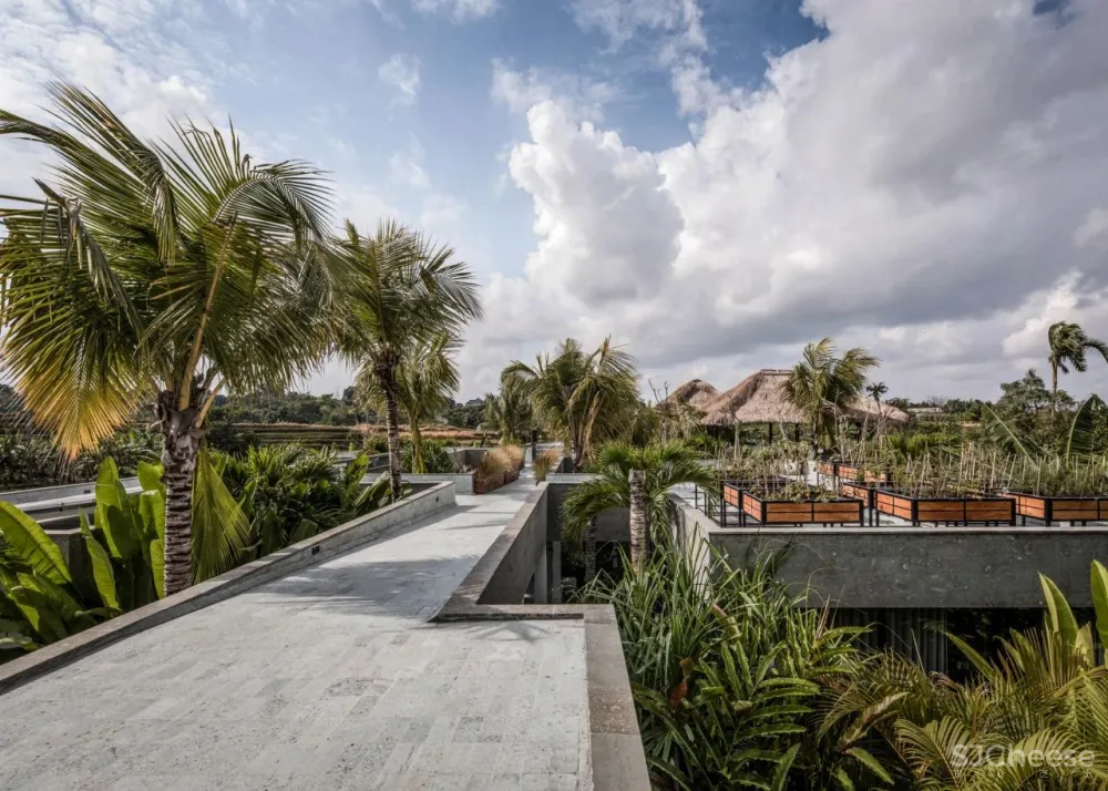 Alexis Dornier 隐匿于绿植之中 Flora住宅