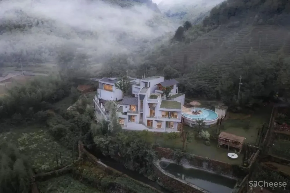 马岛八大作品盘点“我们自己的文化才是面向未来的”