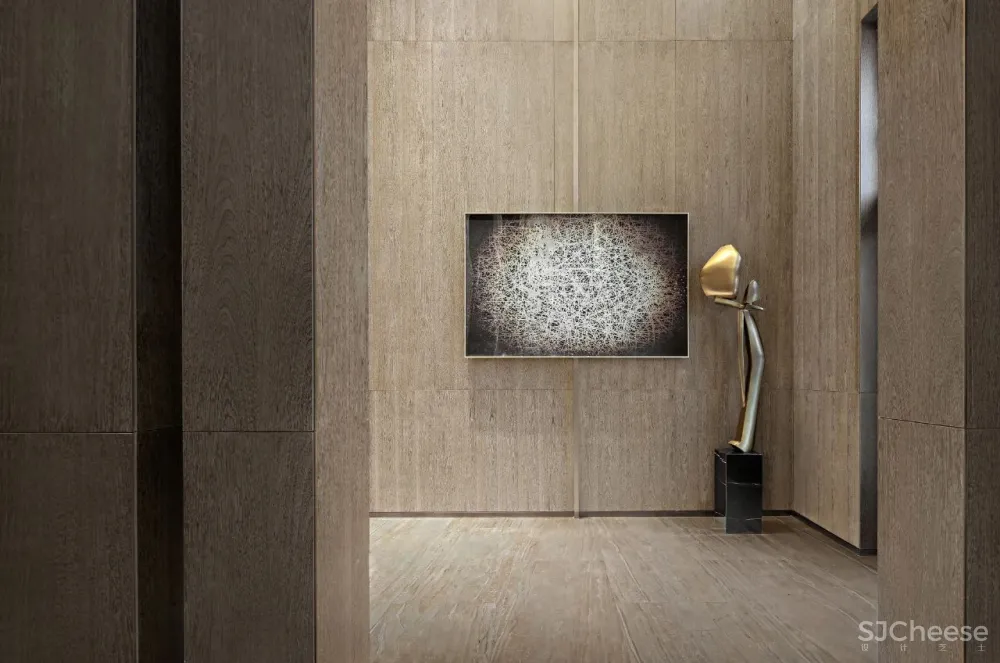 LSD作品 万科大都会1号