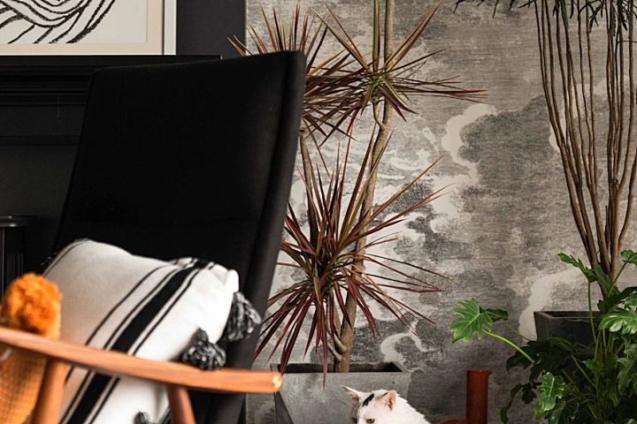 2人居的217㎡复古大宅，其中200㎡给7只猫住？