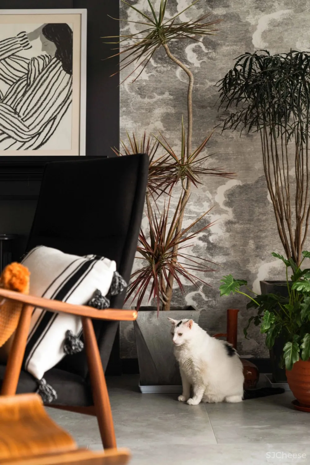 2人居的217㎡复古大宅,其中200㎡给7只猫住?