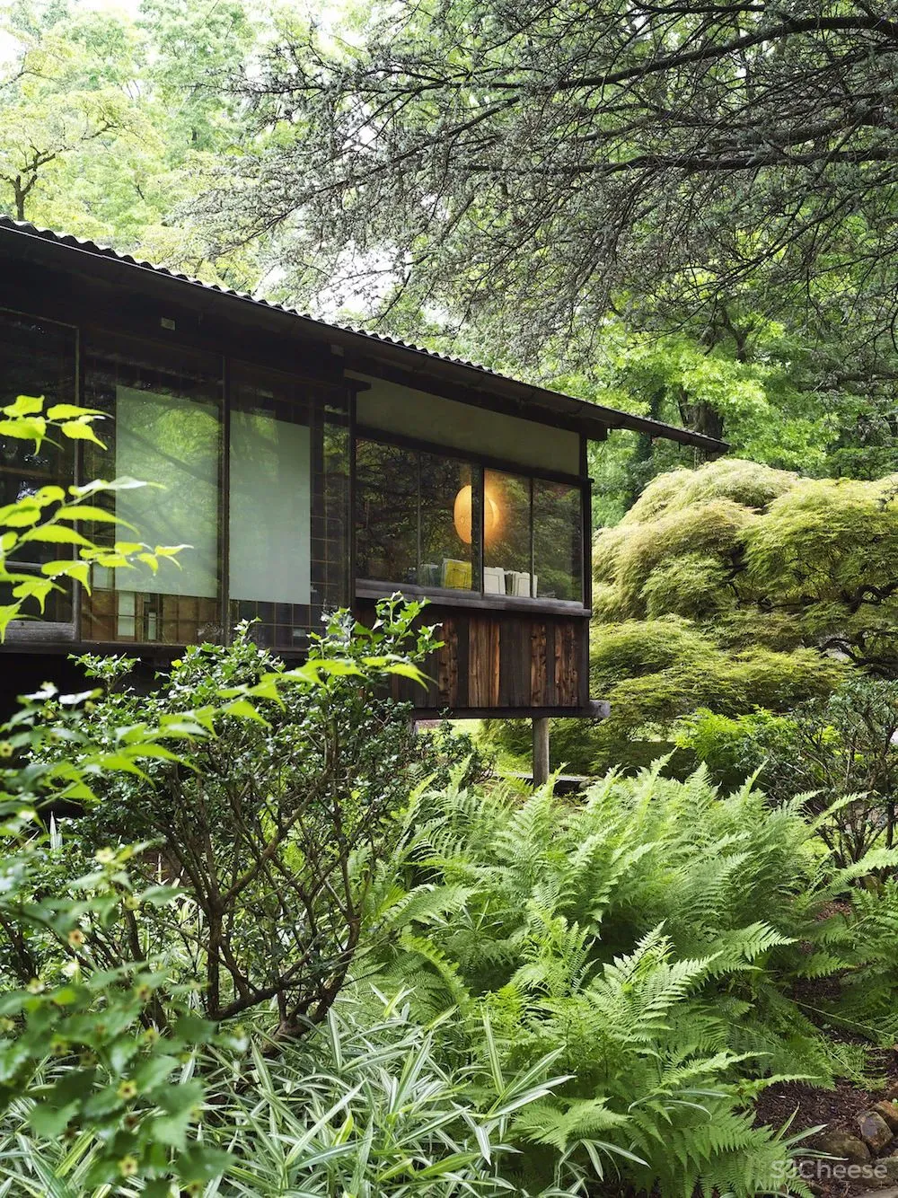 自然禅意,不是设计出来的!