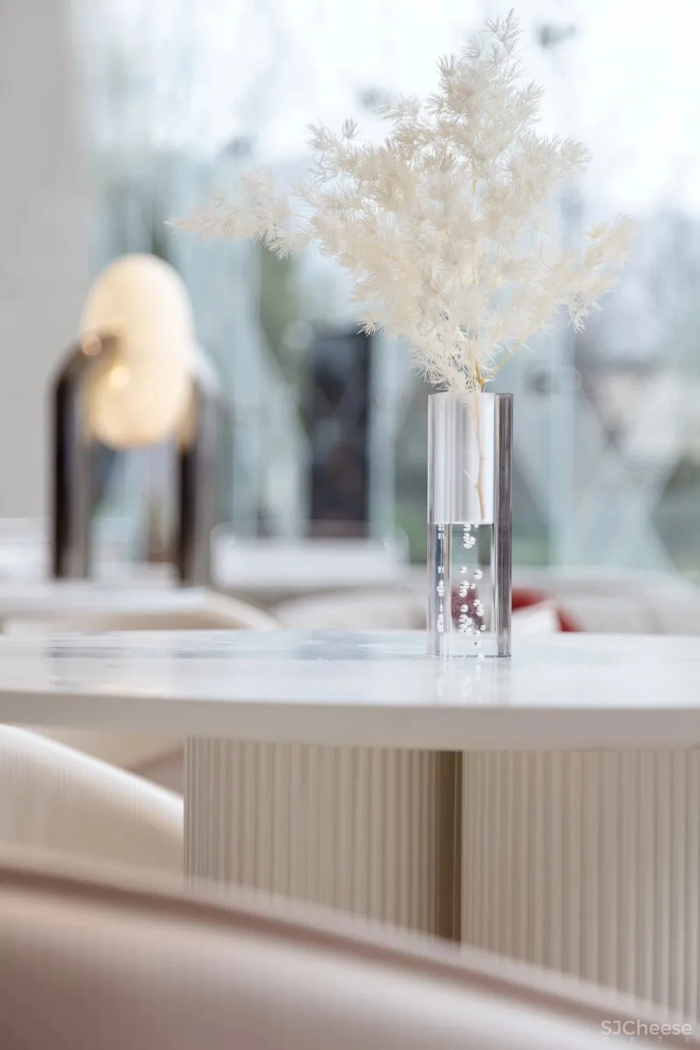 共生形态 星辰与蜉蝣