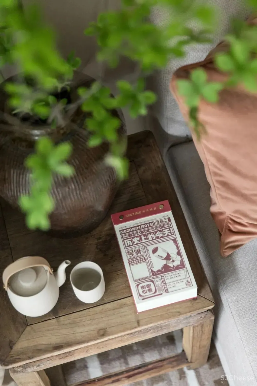 璞辉设计丨“猫愈家” ,听喵声来,猫肥家润,读书解困