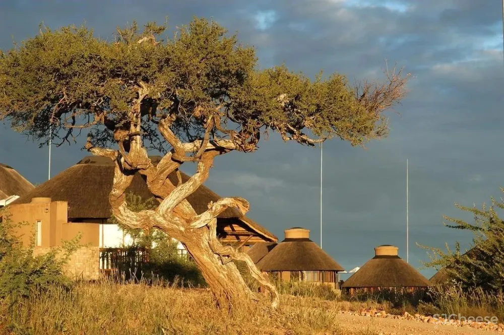 上榜孤独星球「2021最佳住宿地」,原来这里才是野奢度假首选!