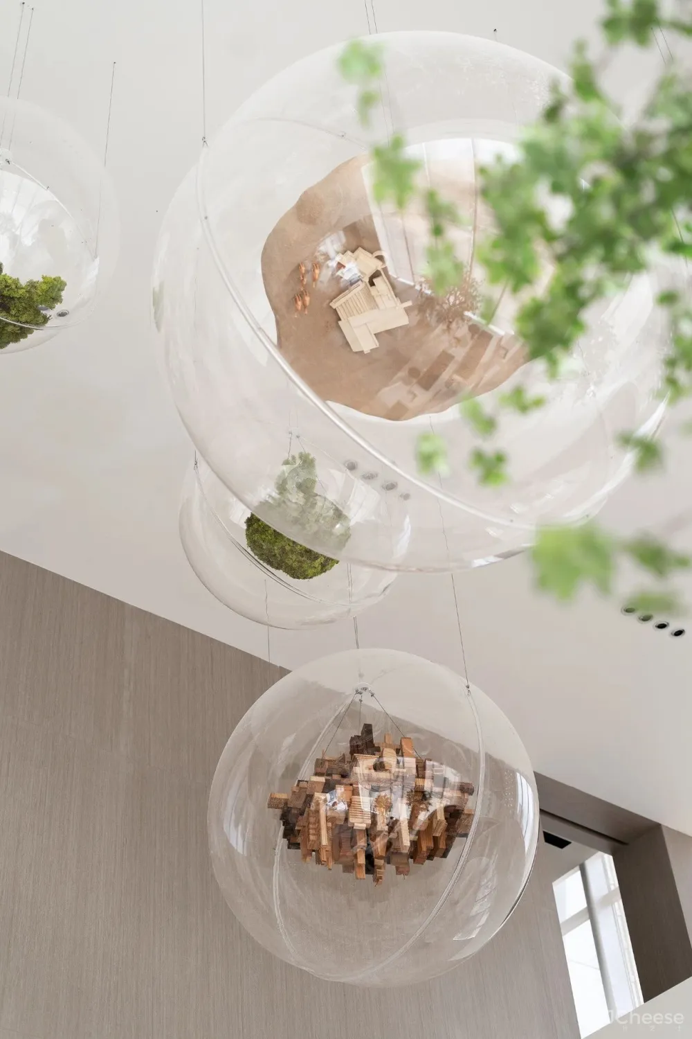 共生形态 星辰与蜉蝣