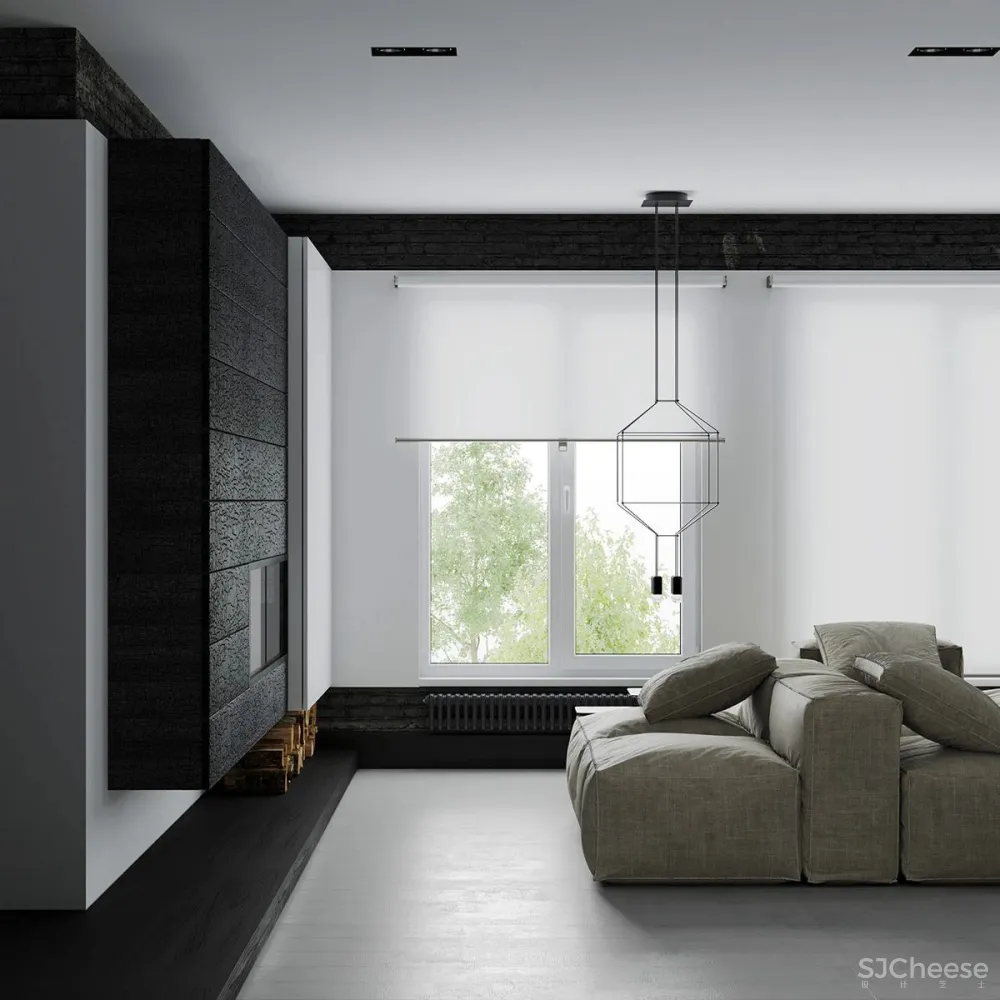 黑白色系的客厅，气质凸显 !