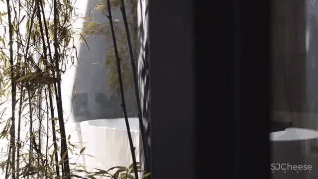 刘家琨 X 张灿 来自诗意的平行世界：境之所至，心之所向！