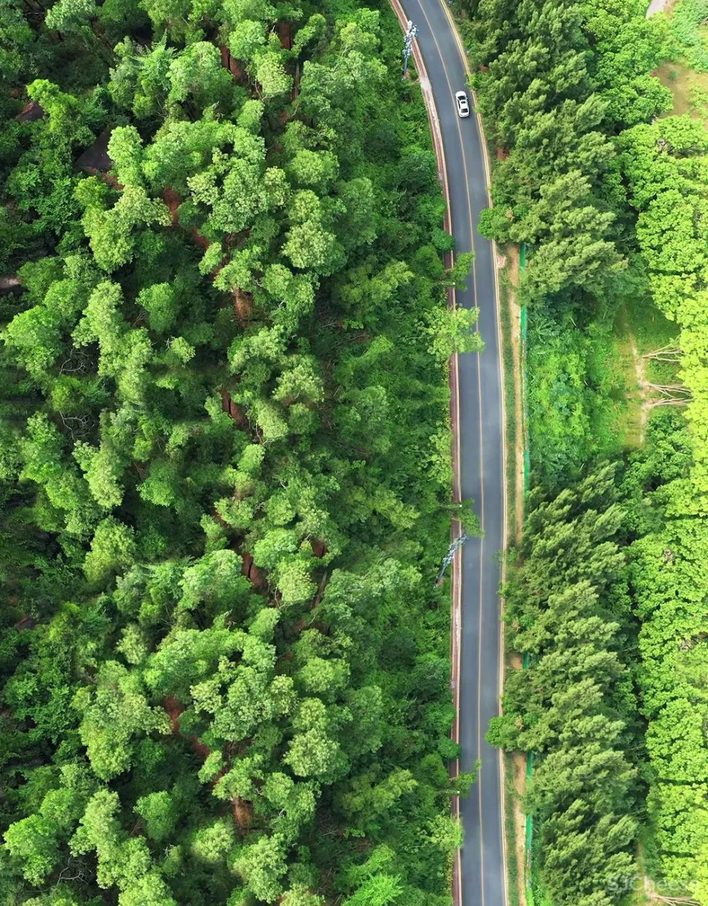诗意空间 气韵十足的极简东方,心安身自在!