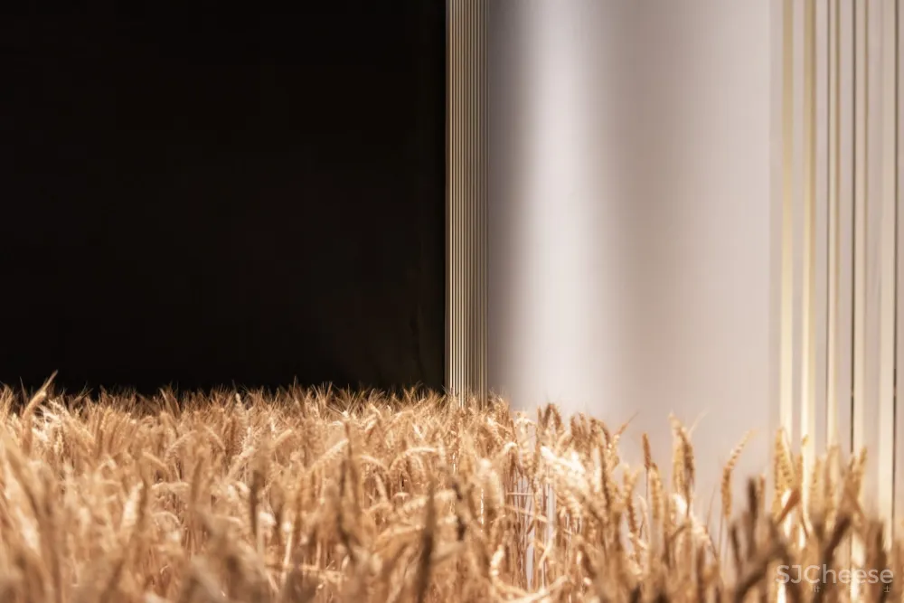 希望的田野 · 寰盟东南亚设计中心办公空间丨长空创作