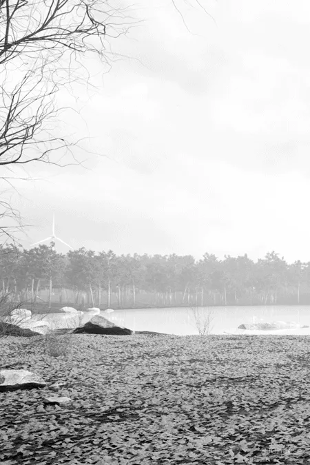 打破常规的房子,屋顶加个仰角引光入室,这样的自建房太有创意了!