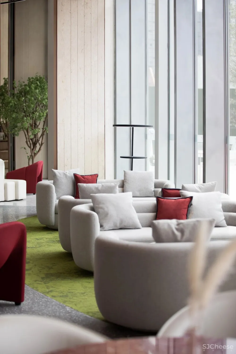 共生形态 星辰与蜉蝣