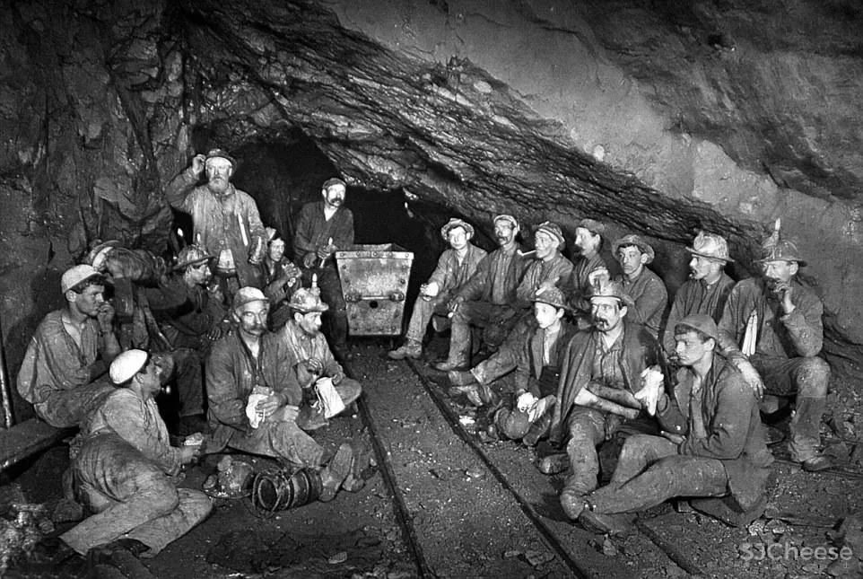 外物 × COZMINE集合店:The world is mine.