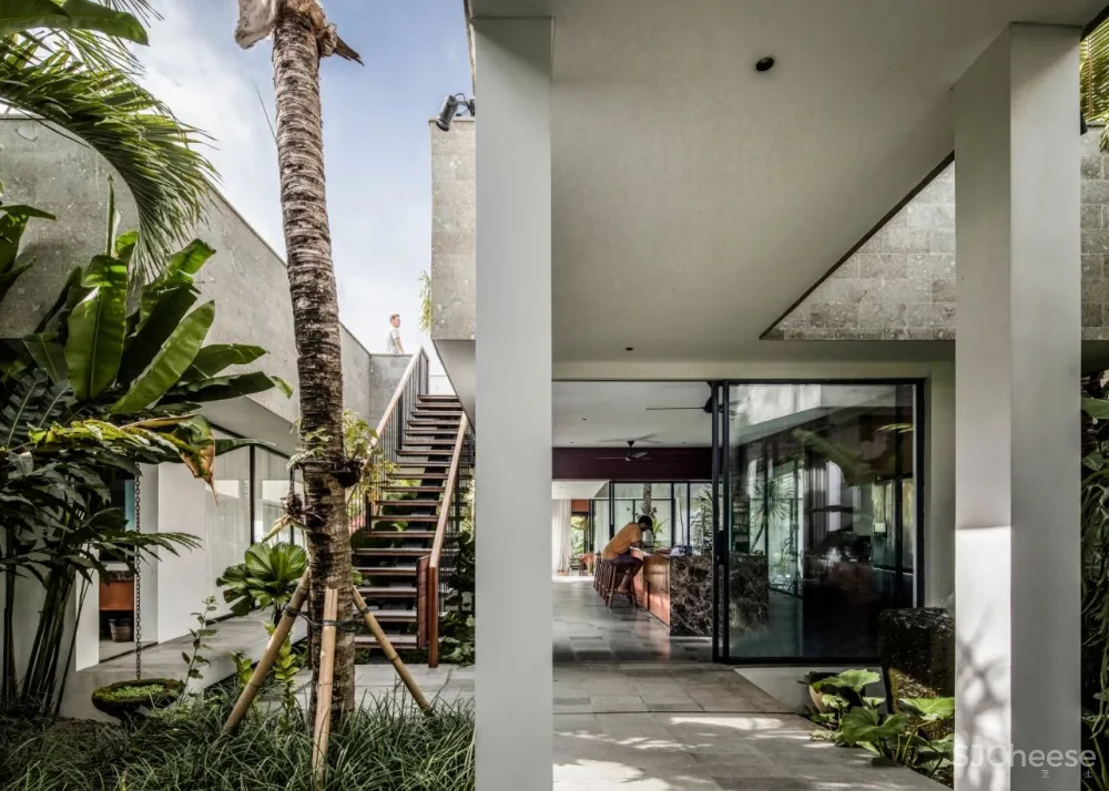 Alexis Dornier 隐匿于绿植之中 Flora住宅