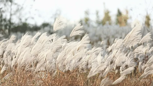 派尚设计 围炉山谷，将自然简朴的在地性做到极致