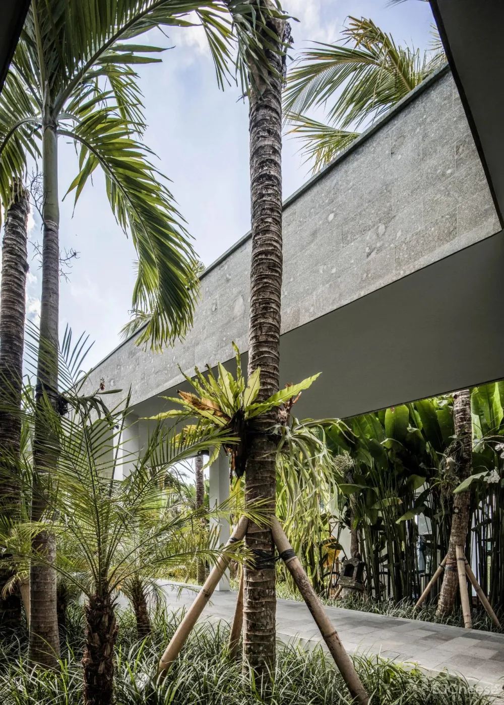 Alexis Dornier 隐匿于绿植之中 Flora住宅